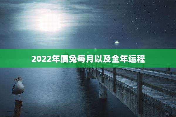 2022年属兔每月以及全年运程