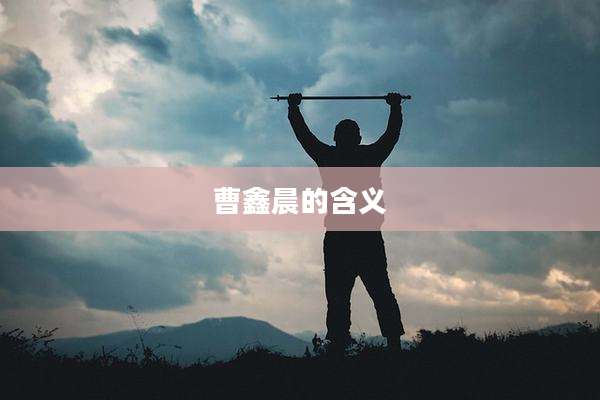 曹鑫晨的含义