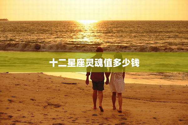 十二星座灵魂值多少钱