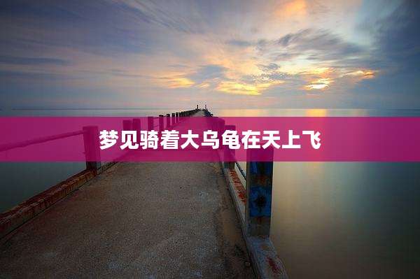 梦见骑着大乌龟在天上飞
