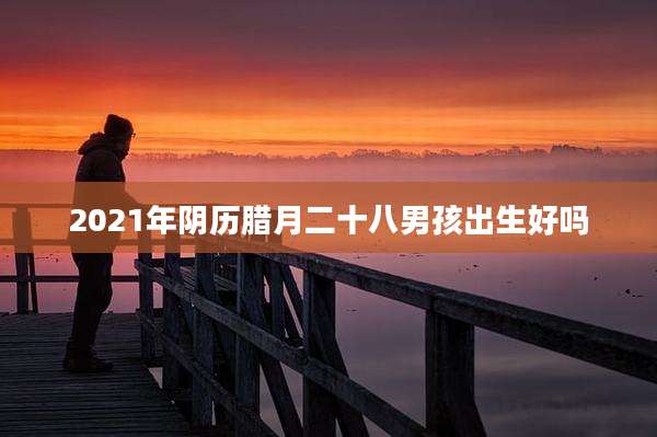 2021年阴历腊月二十八男孩出生好吗