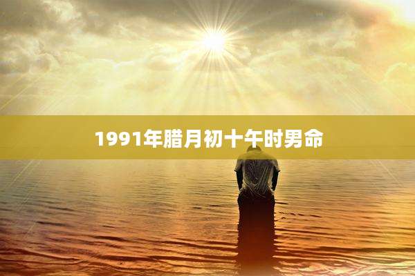 1991年腊月初十午时男命