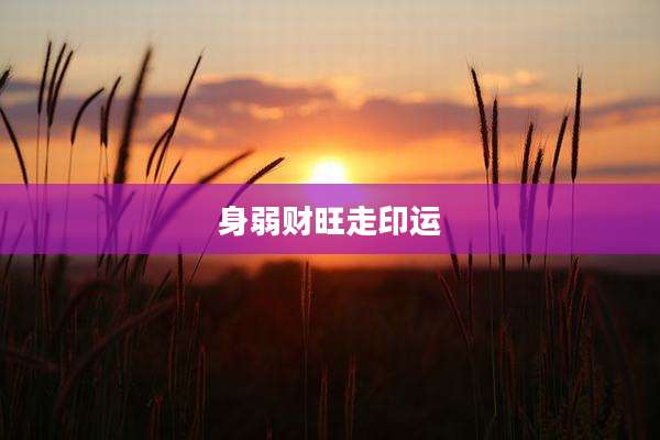 身弱财旺走印运