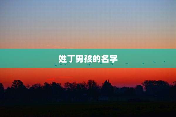 姓丁男孩的名字