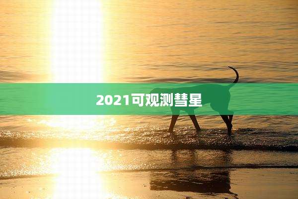 2021可观测彗星