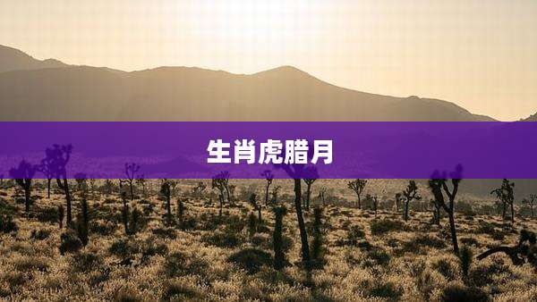 生肖虎腊月