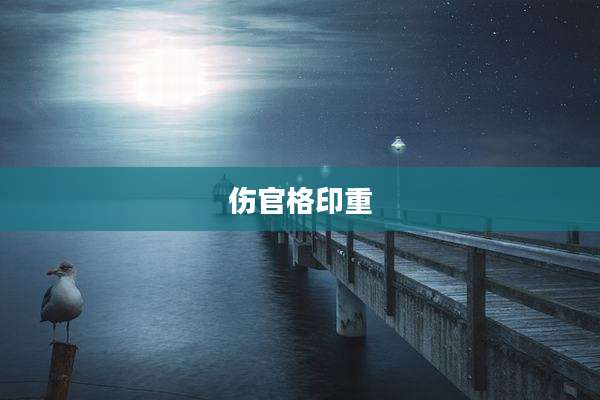 伤官格印重