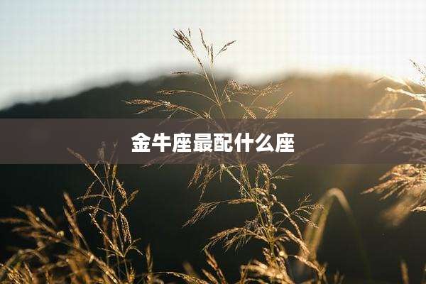 金牛座最配什么座
