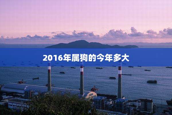 2016年属狗的今年多大