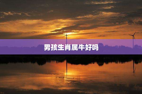 男孩生肖属牛好吗