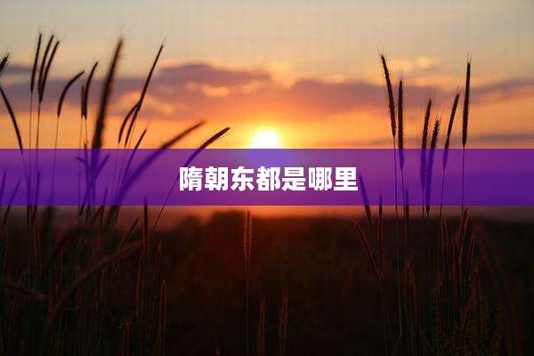 隋朝东都是哪里