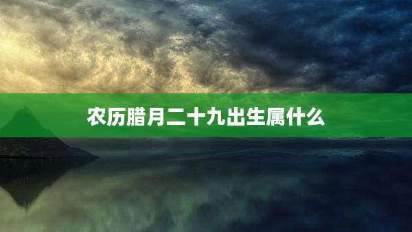 农历腊月二十九出生属什么