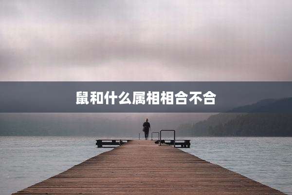 鼠和什么属相相合不合