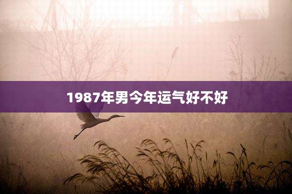 1987年男今年运气好不好