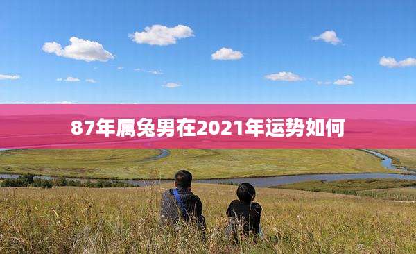 87年属兔男在2021年运势如何