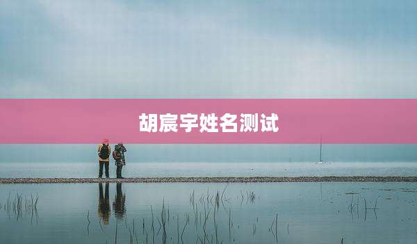 胡宸宇姓名测试