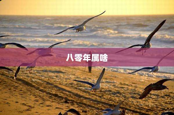 八零年属啥