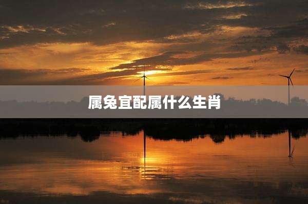属兔宜配属什么生肖