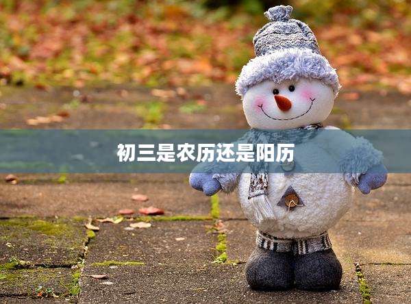 初三是农历还是阳历