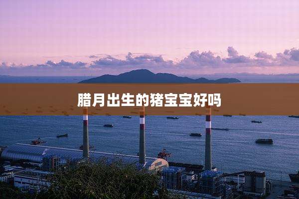 腊月出生的猪宝宝好吗