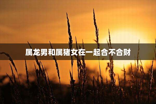 属龙男和属猪女在一起合不合财