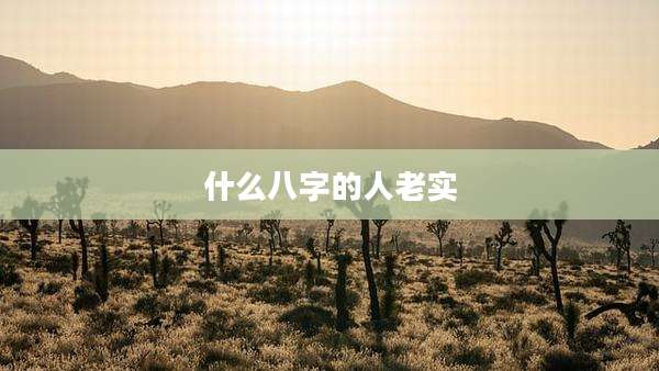 什么八字的人老实