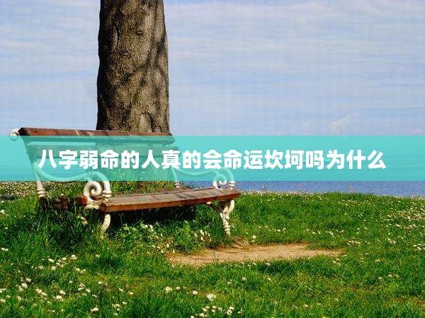 八字弱命的人真的会命运坎坷吗为什么