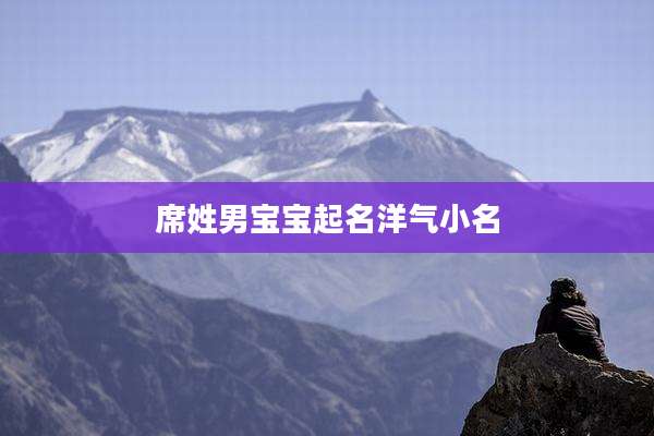席姓男宝宝起名洋气小名