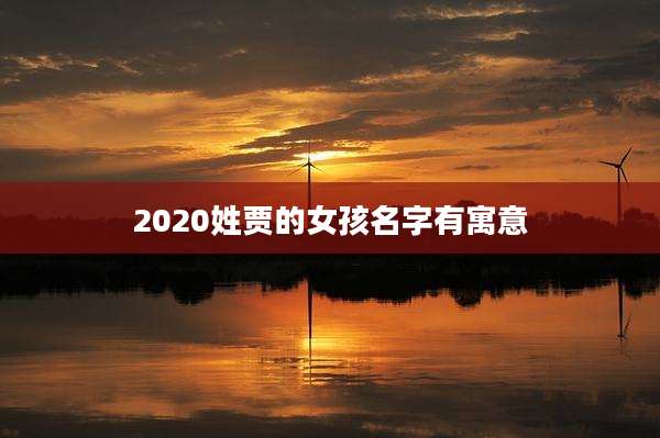 2020姓贾的女孩名字有寓意