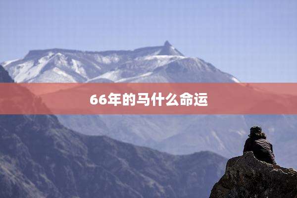 66年的马什么命运