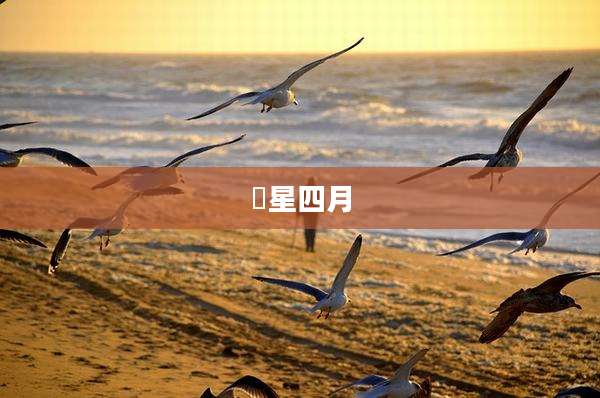 䌓星四月
