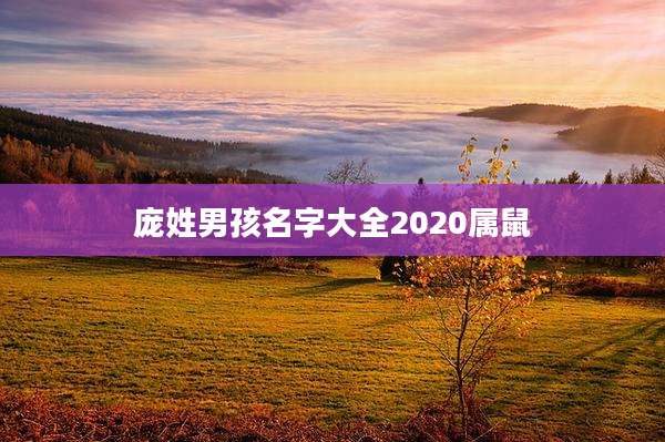 庞姓男孩名字大全2020属鼠