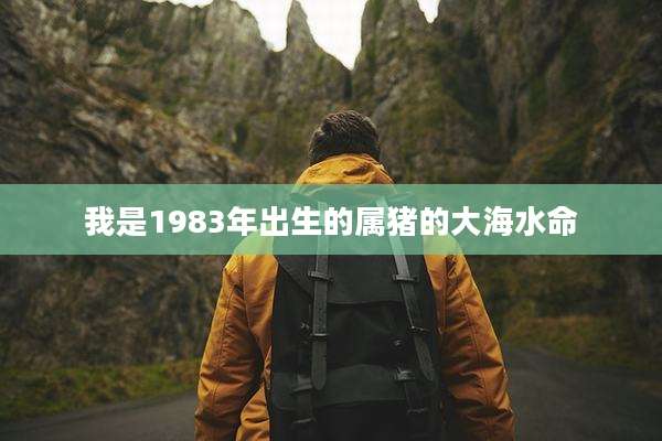 我是1983年出生的属猪的大海水命