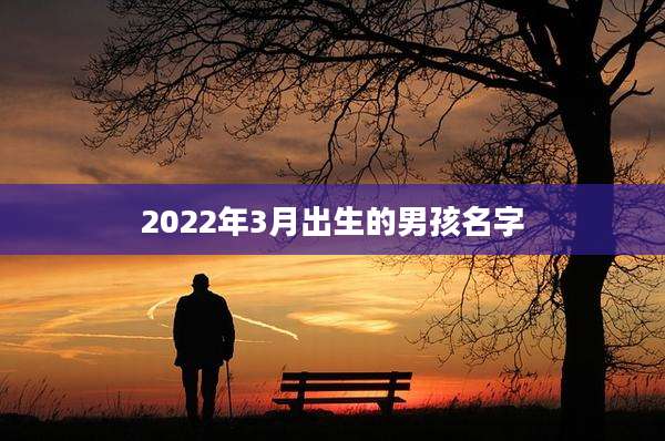 2022年3月出生的男孩名字