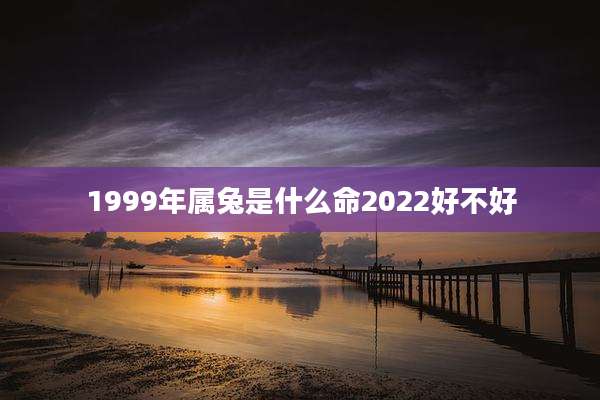 1999年属兔是什么命2022好不好