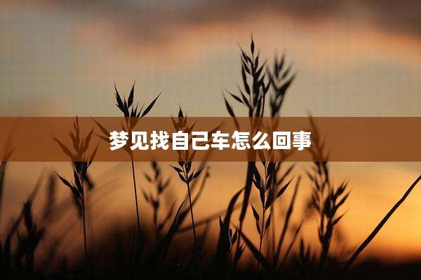 梦见找自己车怎么回事