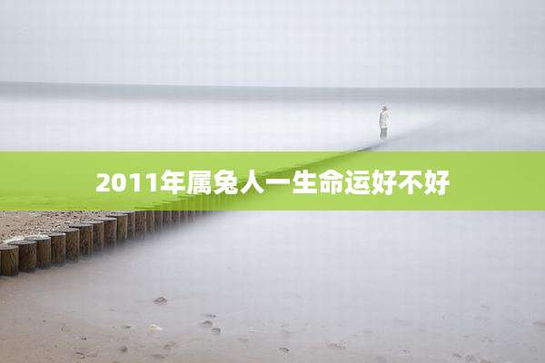 2011年属兔人一生命运好不好