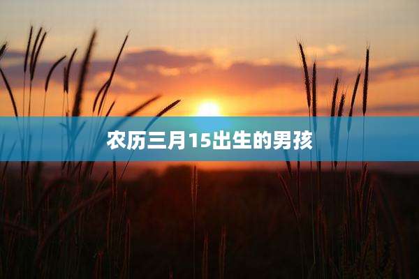 农历三月15出生的男孩