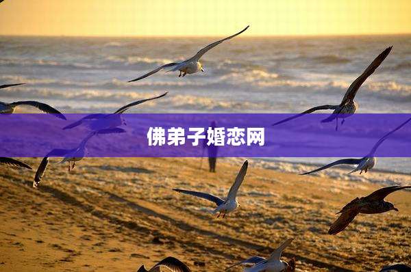 佛弟子婚恋网