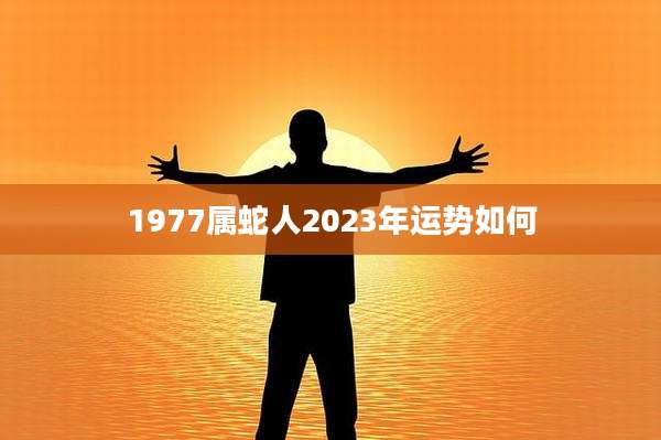 1977属蛇人2023年运势如何