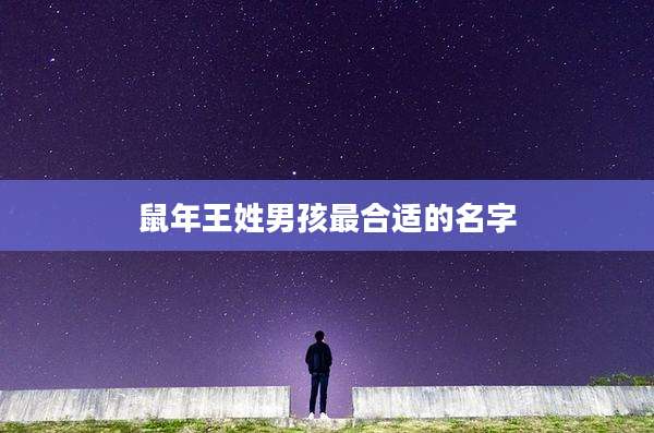 鼠年王姓男孩最合适的名字