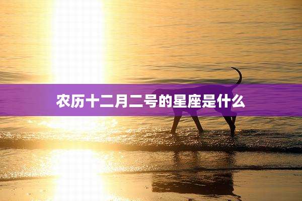 农历十二月二号的星座是什么