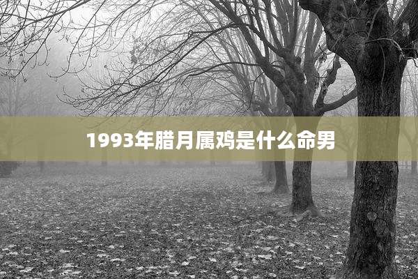1993年腊月属鸡是什么命男