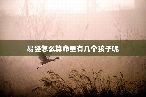易经怎么算命里有几个孩子呢