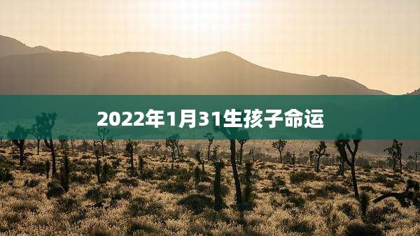2022年1月31生孩子命运