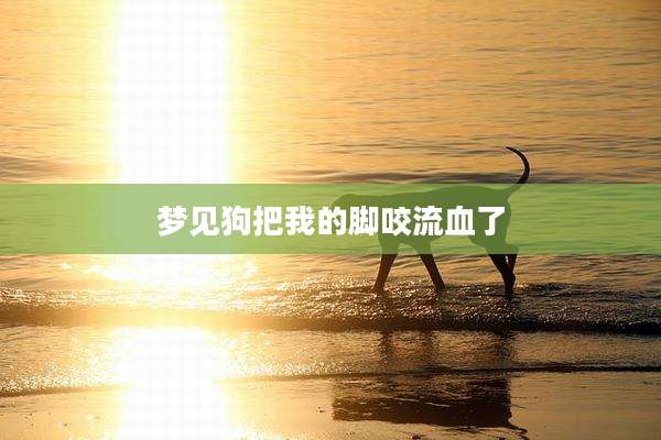 梦见狗把我的脚咬流血了