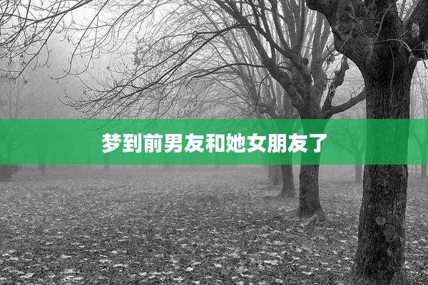 梦到前男友和她女朋友了
