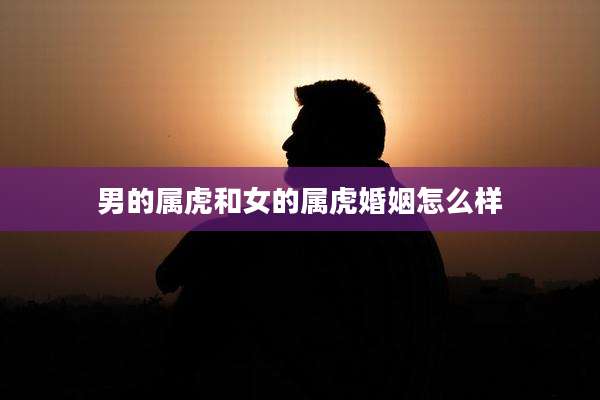 男的属虎和女的属虎婚姻怎么样