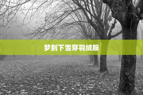 梦到下雪穿羽绒服