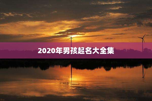 2020年男孩起名大全集